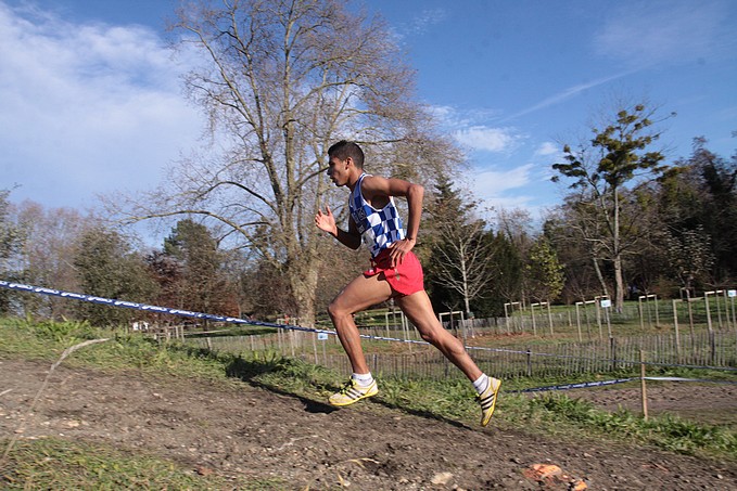 Diapositive suivante